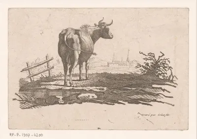 Staande koe in een wei