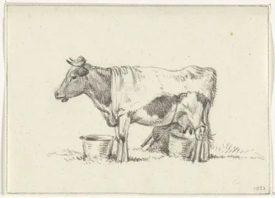 Staande koe, met melkemmer en melkkrukje