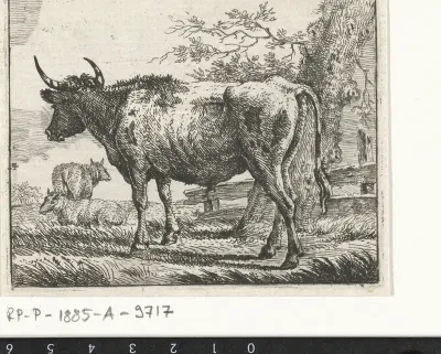 Staande koe met twee schapen
