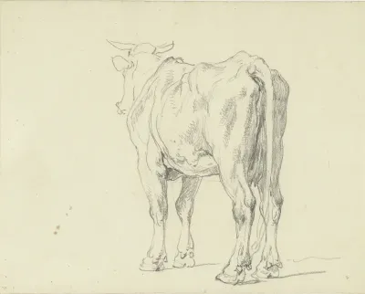 Staande koe, van achteren