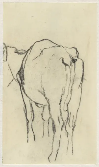 Staande koe, van achteren