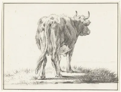 Staande koe, van achteren