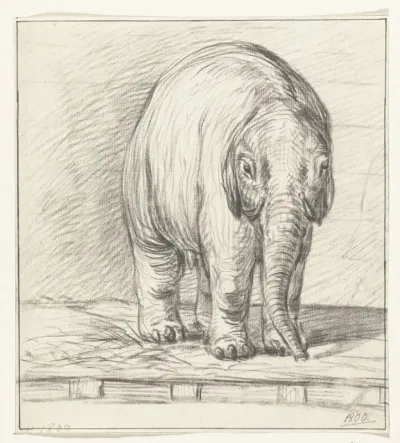 Staande olifant