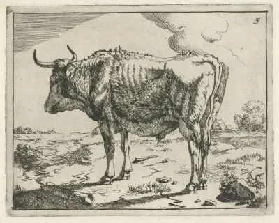 Staande stier