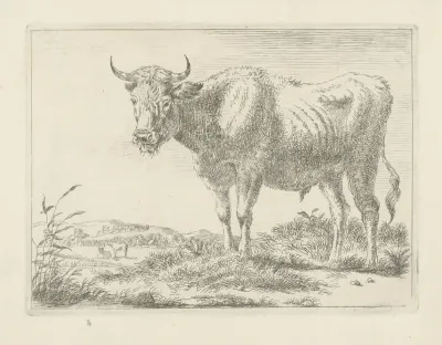 Staande stier