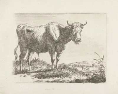 Staande stier