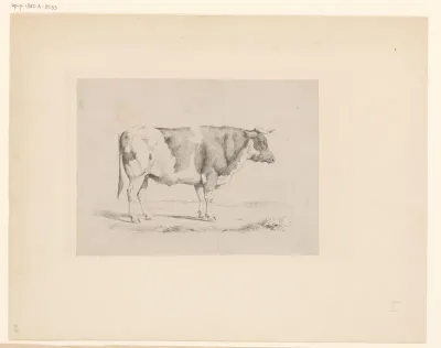 Staande stier