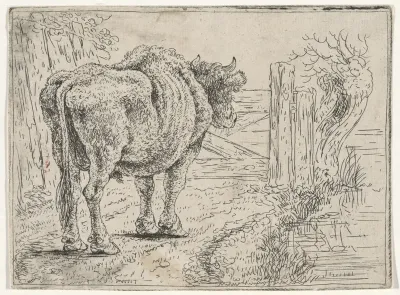 Staande stier