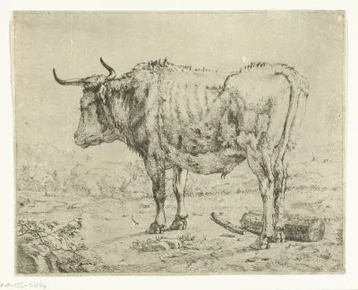 Staande stier, blok hout bij poten