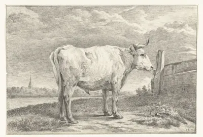Staande stier, naar rechts