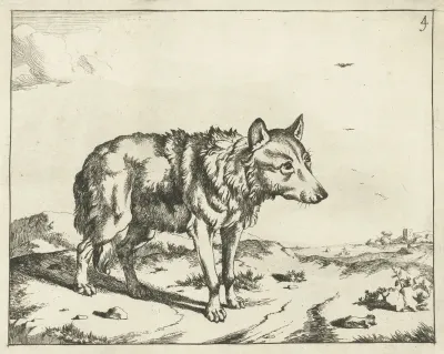 Staande wolf, en profil