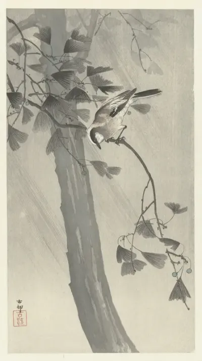 Staartmees in storm