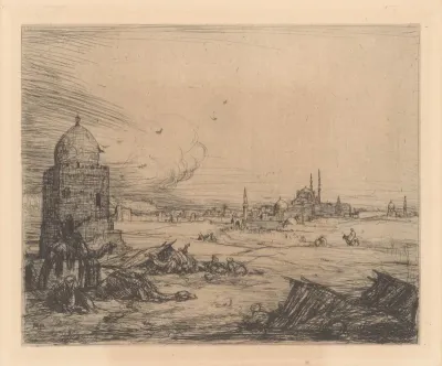 Stadsaanzicht met moskeeën