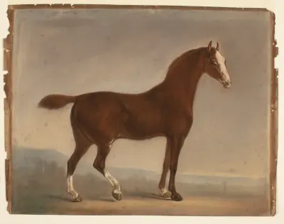 Stående brun hest