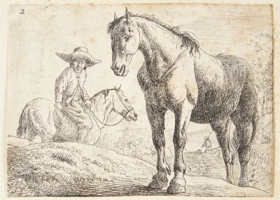 Stående hest, i baggrunden en hest med rytter