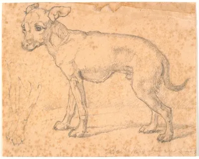 Stående hund