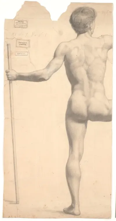 Stående mandlig model, set fra ryggen, stav i ventre hånd, højre arm og ben afskåret
