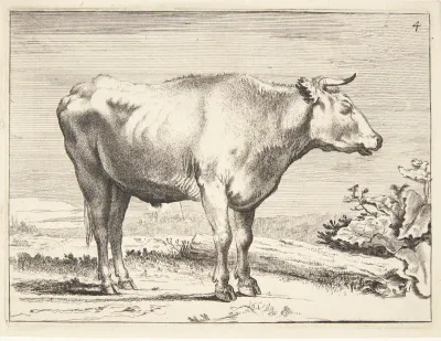 Stående stud, vendt mod højre