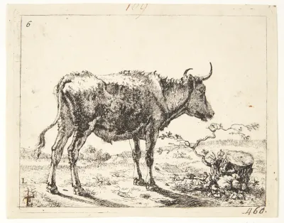 Stående stud, vendt mod højre