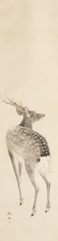 Stag