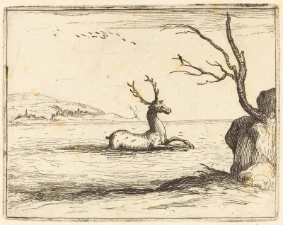 Stag in the Water