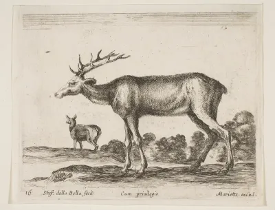 Stag, plate 16 from "Various Animals" (Diversi Animali)
