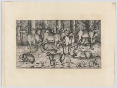 Stags in the Forest