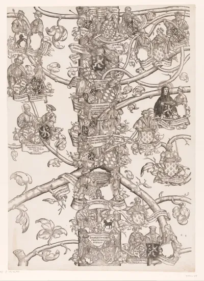 Stamboom van Frederik en Ottheinrich van Palts-Neuburg (plaat 8)
