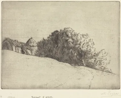 Stand of Trees (Bouquet d'arbres)