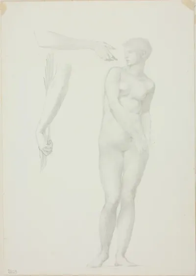 Standing Female Nude and Sketches of Arms