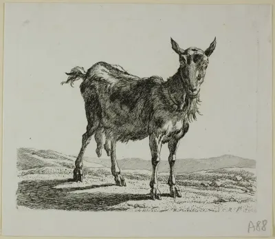 Standing Goat, from Die Zweite Thierfolge