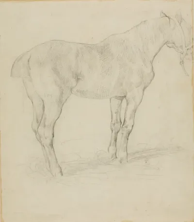 Standing Horse