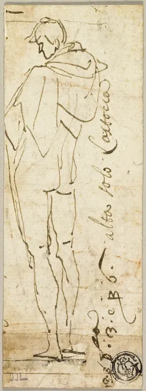 Standing Male Nude