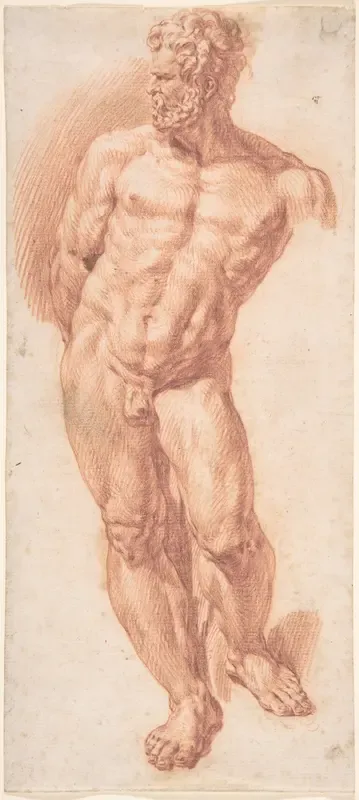 Standing Male Nude