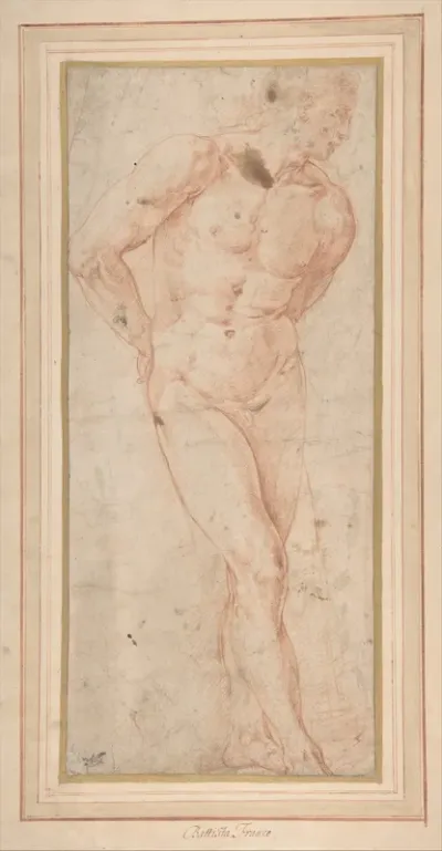 Standing Male Nude with Hands behind Back