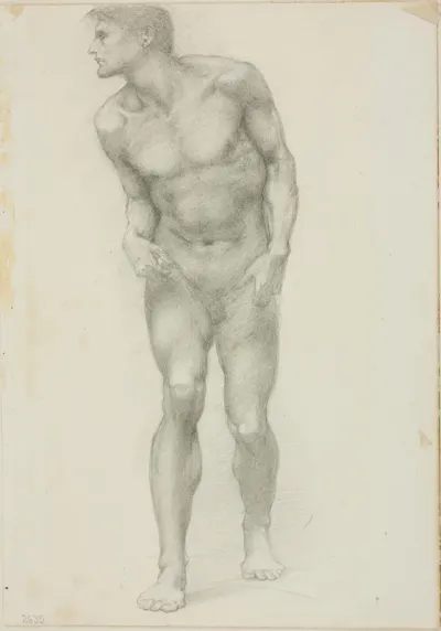 Standing Nude Male with Face in Profile