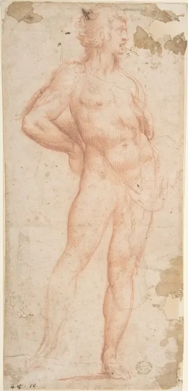 Standing Nude Man (Bacchus)