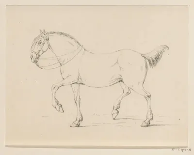 Stappend paard, naar links