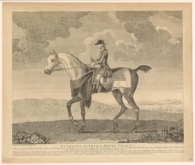 Starling het paard met jockey