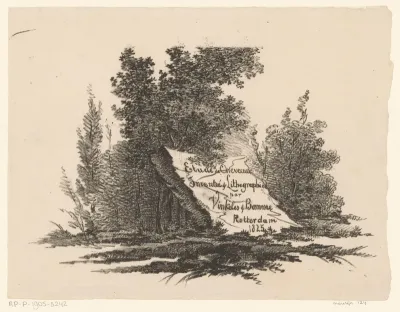 Steen in landschap