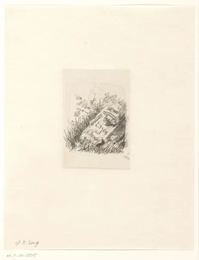 Steen met inscriptie in het gras