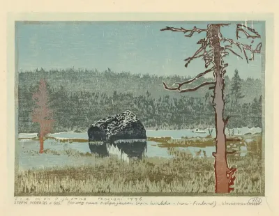 Steen, moeras en bos