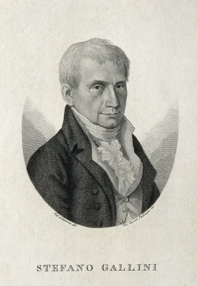 Stefano Gallini