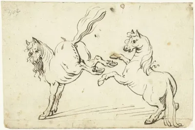 Steigerend en een galopperend paard