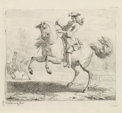 Steigerend paard met ruiter