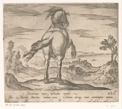 Steigerend paard van achteren gezien