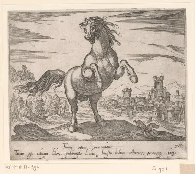 Steigerend paard van voren gezien