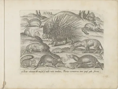 Stekelvarken, dassen, marters en andere dieren