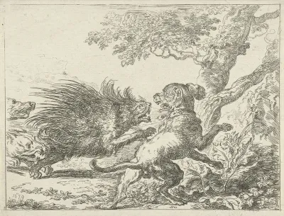 Stekelvarken door honden aangevallen