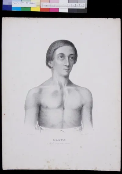 Sternum